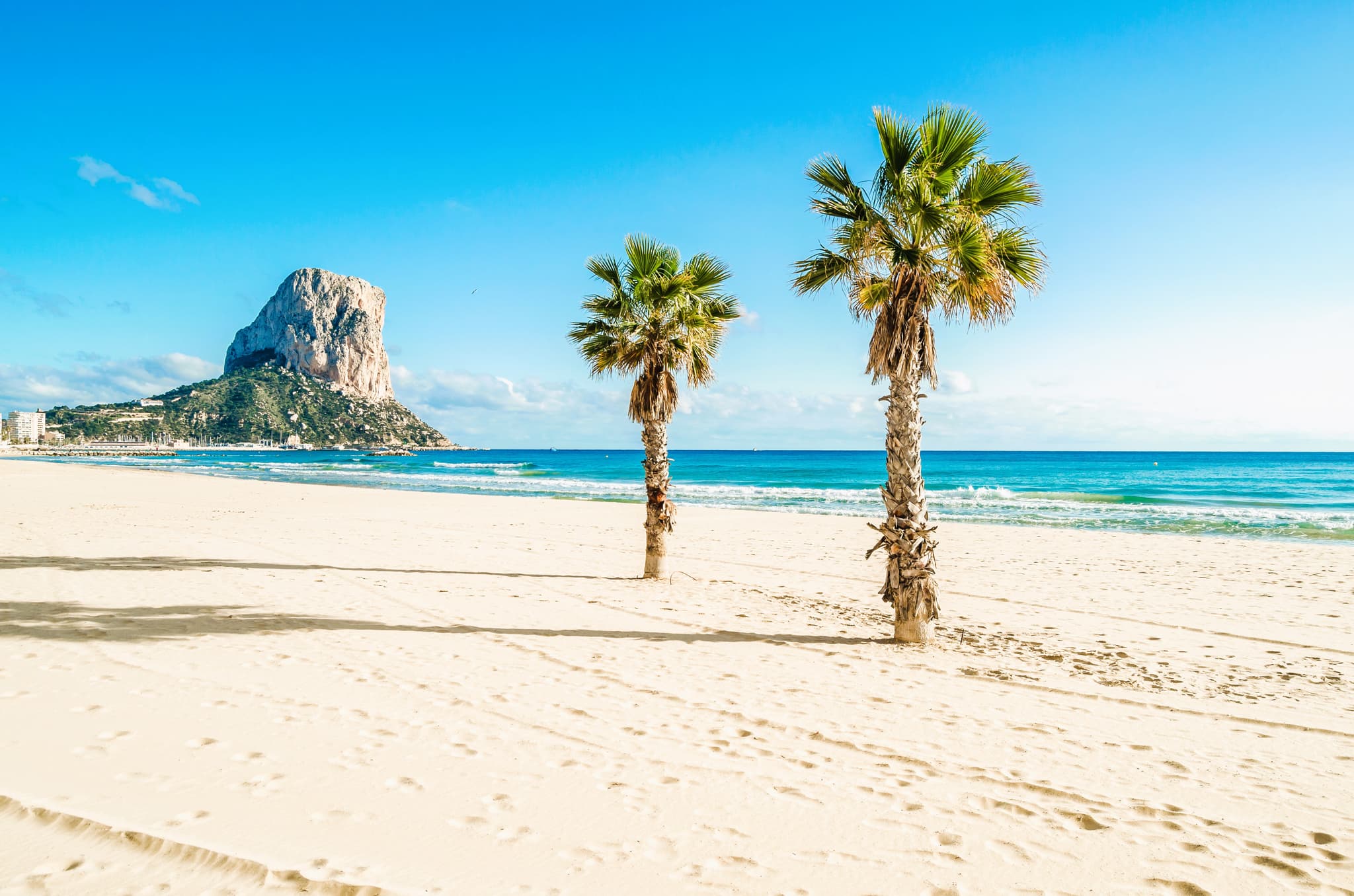 Palm trees on a white sand beach on the Costa Blanca with the Peñón de Ifach in the distance